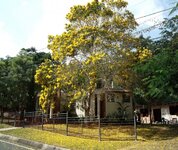 casayarbol.jpg