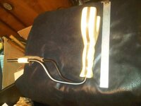 IMG00301-20110628-0906.jpg