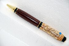 Pens- 2-2-11 Cork Stages Leap Zangara Bottom.jpg