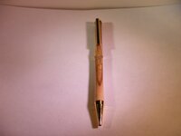 ugly pen 007.JPG