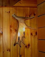 AntlerLamp46DLo.jpg