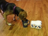 pen cup dog.jpg