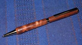 1st pen.jpg