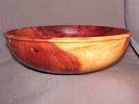 Juniper3 82011.jpg