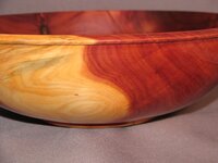 Juniper2 82011.jpg
