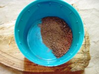 Pen 016.jpg Pen 016.jpg