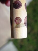 Pen 020.jpg Pen 020.jpg