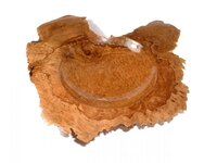 Brown Mallee 3a.jpg