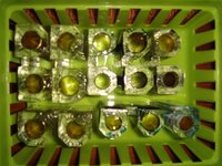 DSC03492.JPG