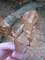 IMG_0940.jpg