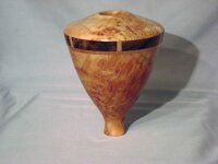 Segmented vessel.jpg