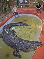 880945-monster-croc.jpg