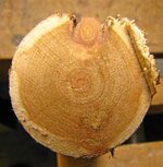 Diamond Willow 001 (Small).jpg