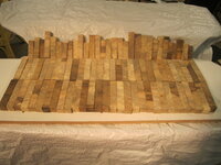 Mike's maple 001.JPG