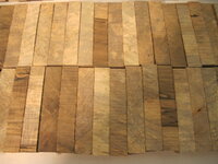 Mike's maple 003.JPG