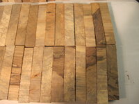 Mike's maple 004.JPG