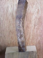 Bent wood.jpg