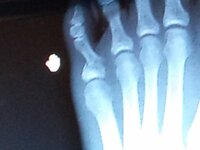 2011-10-13 16.45.52.jpg