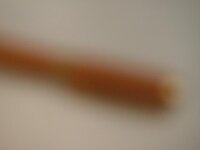 pith 2011 tease.jpg
