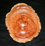 IMG_2803.jpg