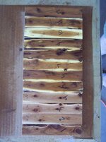100_8747.jpg