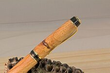 Shiraz_1_cap_detail (Large).jpg