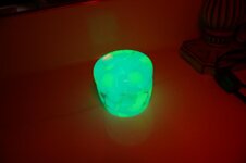 IMG_2837.jpg