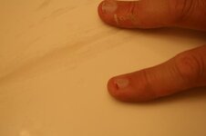 IMG_2843.jpg
