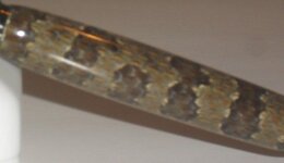 snakeskin pen (456 x 264).jpg