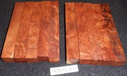 DSC02708.jpg