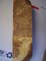 100_8795.jpg