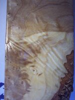 100_8796.jpg