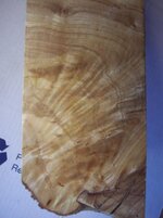 100_8797.jpg