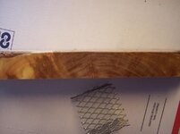 100_8799.jpg