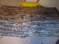 100_8800.jpg
