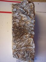 100_8801.jpg