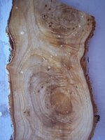 100_8803.jpg
