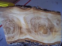 100_8804.jpg