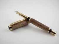 Pen from Charley (640x480).jpg