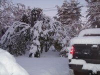 Oct Snow Storm 003.jpg