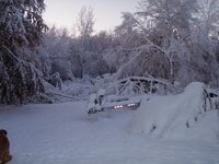 Oct Snow Storm 005.jpg