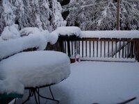 Oct Snow Storm 012.jpg