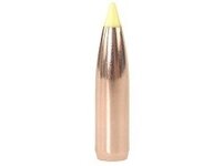 270 bullet.jpg