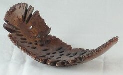 banksia_pod_winged.jpg