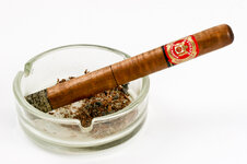 CigarReplica-2513.jpg