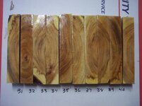 100_8879.jpg