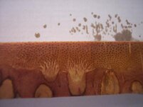 100_8899.jpg