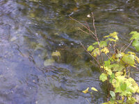IMG-20111118-00094.jpg