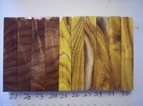 100_8929.jpg