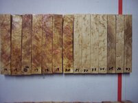 100_8963.jpg